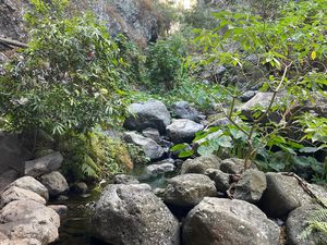 Raconte moi ta course #1 : Alan nous raconte sa Diag