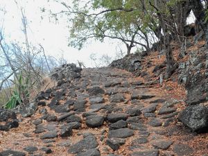 Raconte moi ta course #1 : Alan nous raconte sa Diag