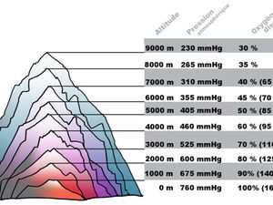Raconte moi ta course #8 : Nico en TOP10 aux Vallées