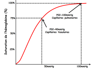 Raconte moi ta course #8 : Nico en TOP10 aux Vallées